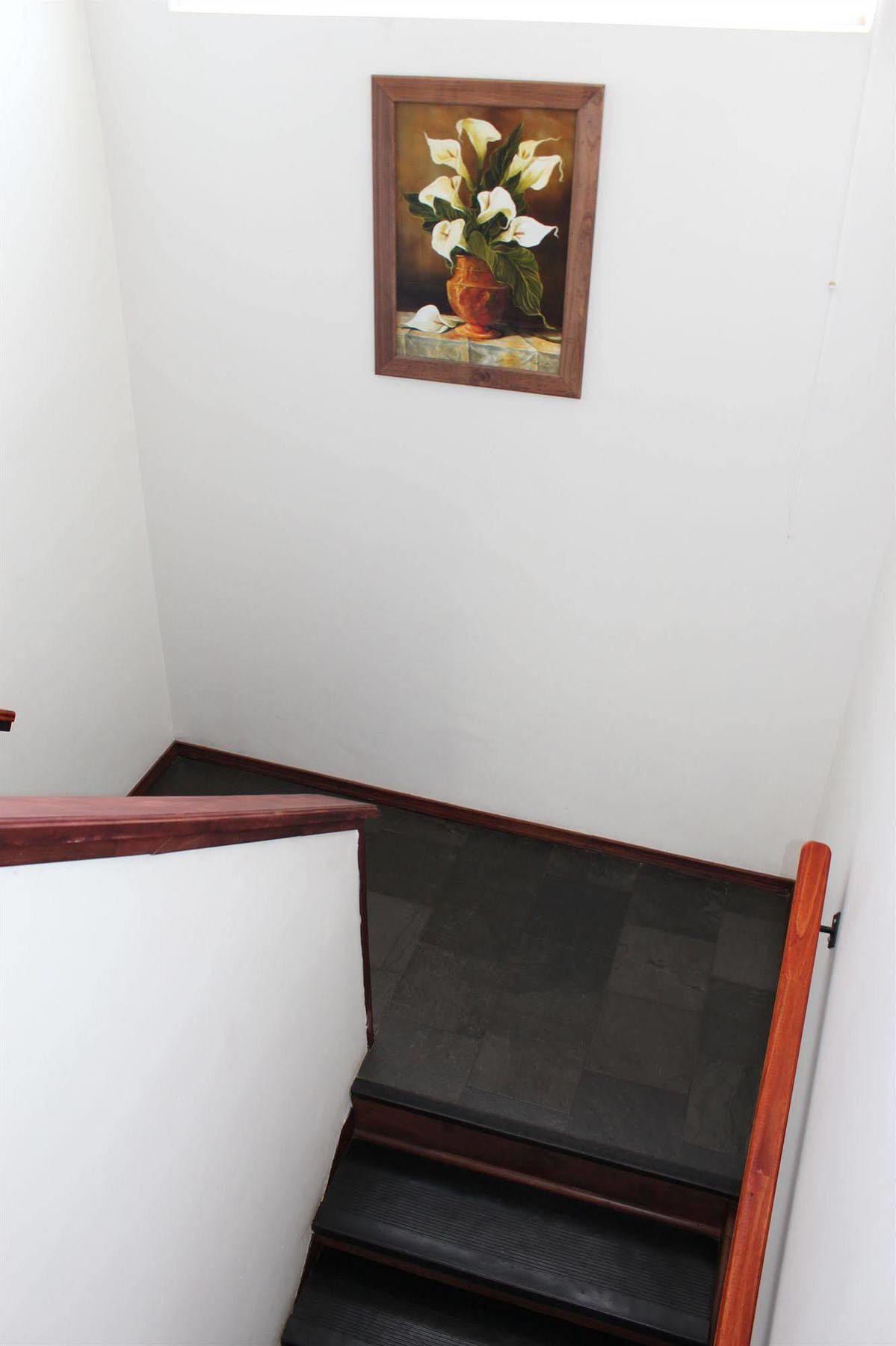 Hotel Bello Темуко Екстер'єр фото